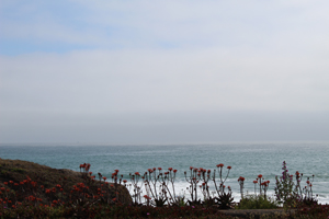 Francis Beach Overlook